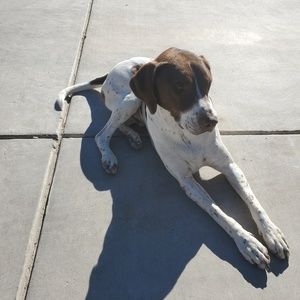 Meet your Posher, Patti